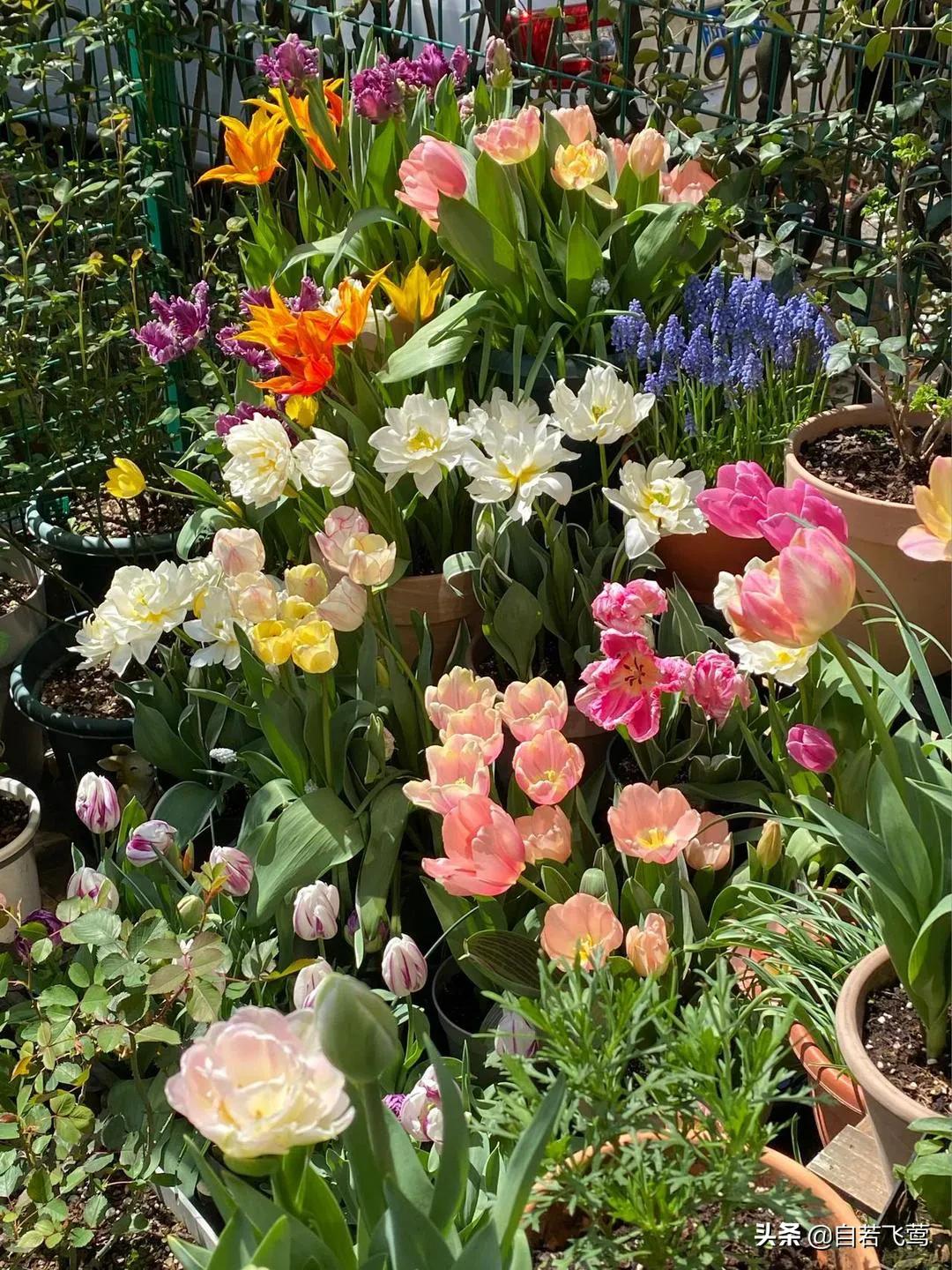 《朗读者》中董卿经典语录，每句都富含哲理