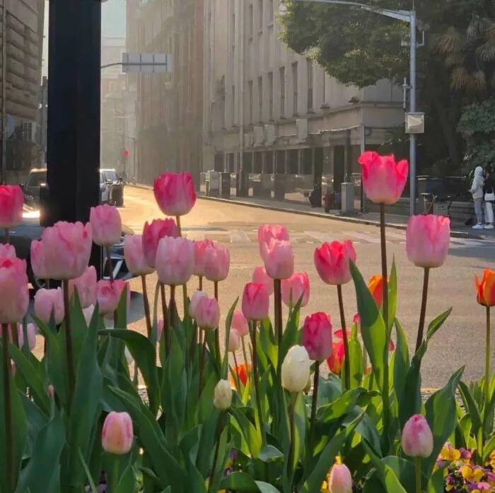 高考各科复习攻略，送给想要提高成绩的你
