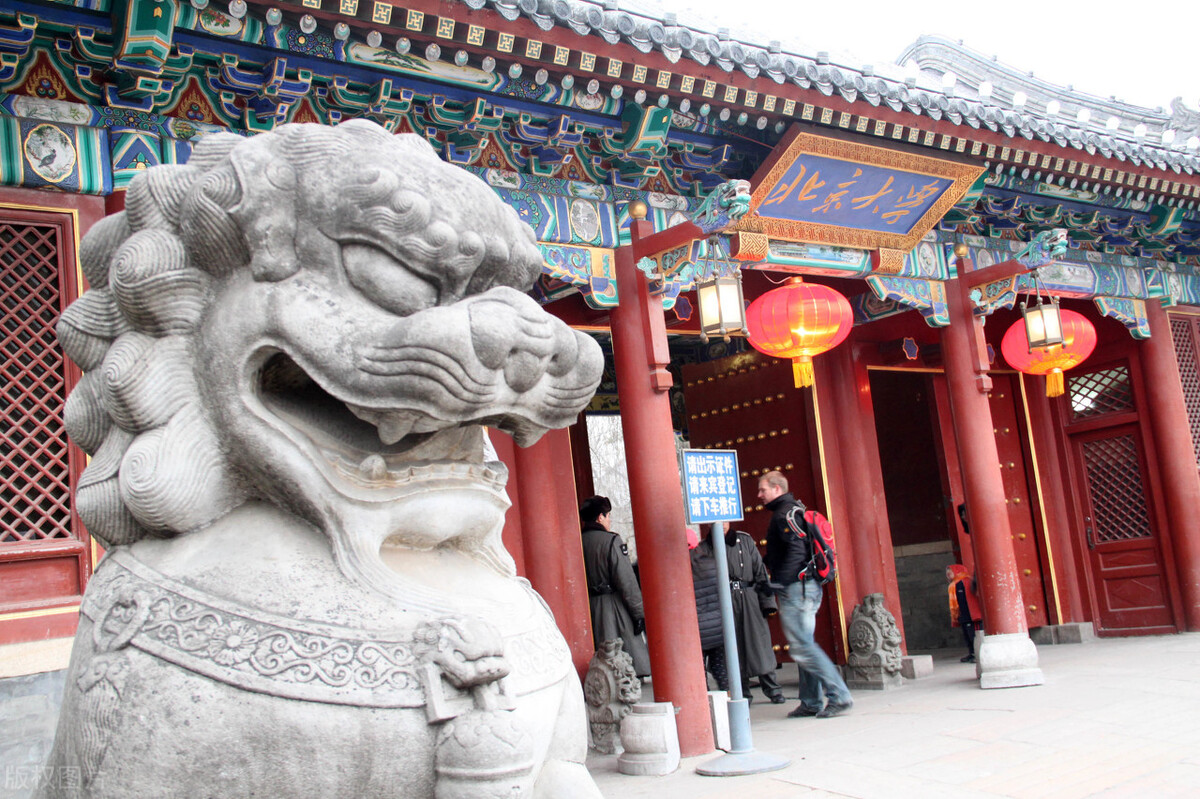 北京大学毕业生去哪了？13%去留学，就业于信息技术及教育行业多