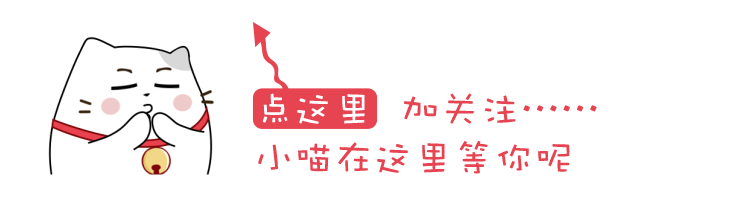 猫藓会传染给人！猫藓怎么预防，得了猫藓怎么办？