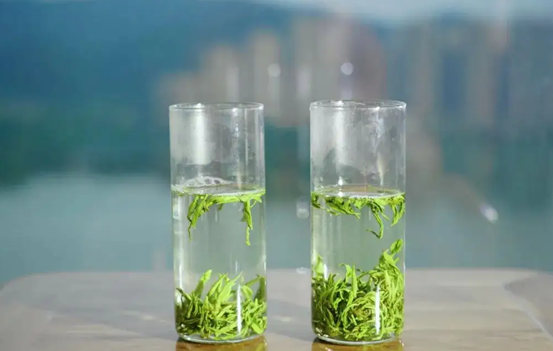全國哪里的茶葉最好喝？經評選，這4款脫穎而出，看有你家鄉嗎？