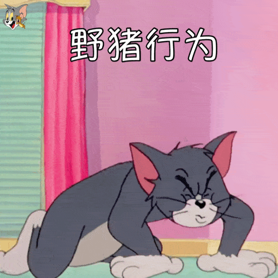 表情包 :猫和老鼠动态表情包大全