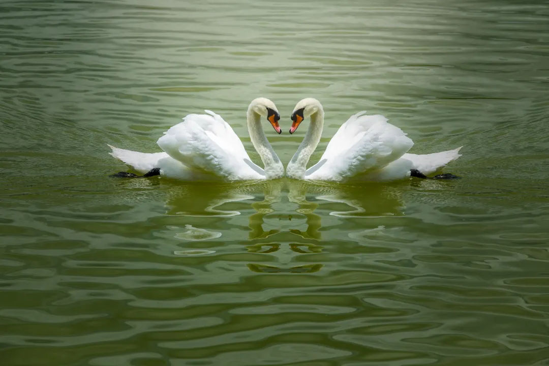 2022年2月22日正月廿二星期二,来了