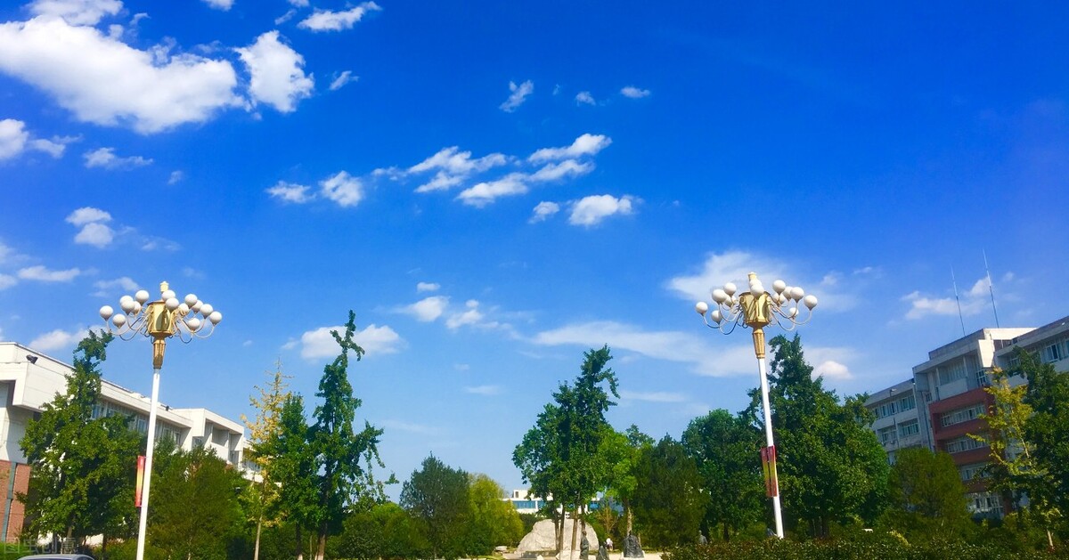 这5所山东的高校，每年招收专升本人数最多，适合成绩一般的学生