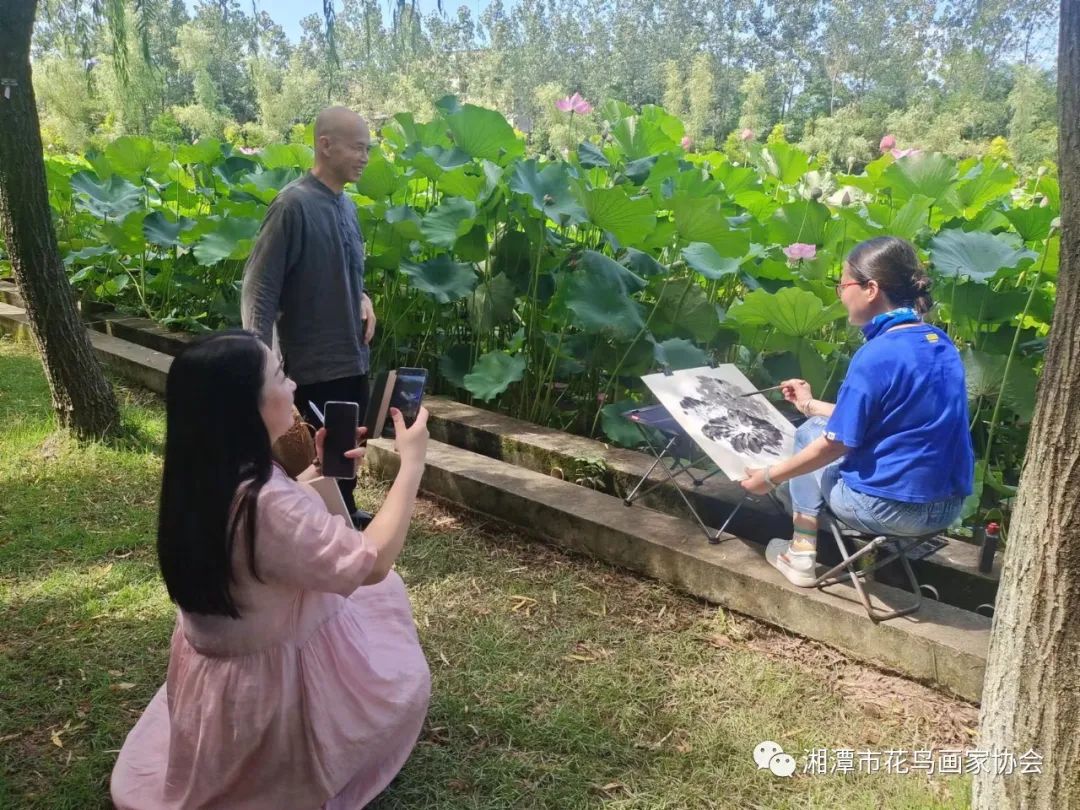 湘潭市花鸟画家协会盘龙大观园荷花写生活动圆满成功