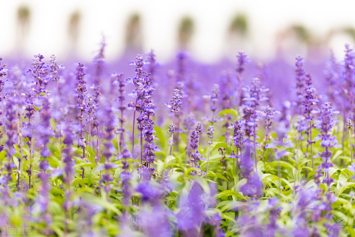 皮到挨揍的朋友圈幽默文案