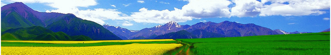 安徽一百年中学，门前有一副上联，至今无人对出下联