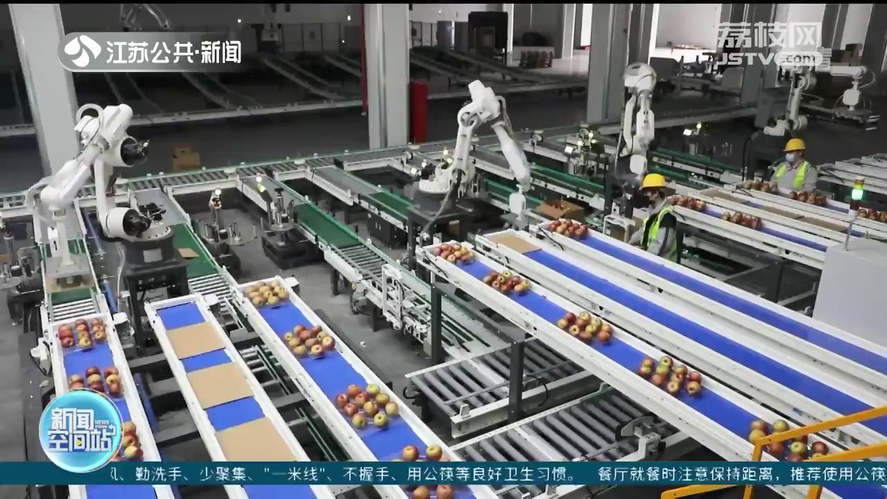 特别的帮手！千万只蜜蜂助力宿迁万亩苹果园复工复产