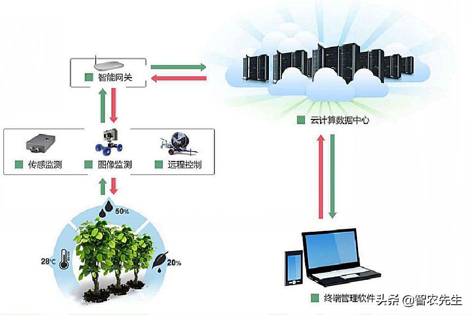 一个温室大棚年收入8万元，这是怎么做到的？