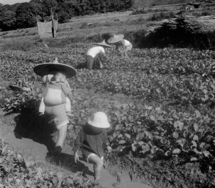 1952年，湖北老铁匠收到毛主席来信，村民才知其真实身份不简单
