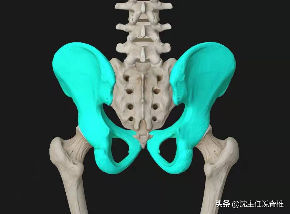 腰臀或下肢痛，是腰肌劳损、腰突症吗？不一定，还有这些原因