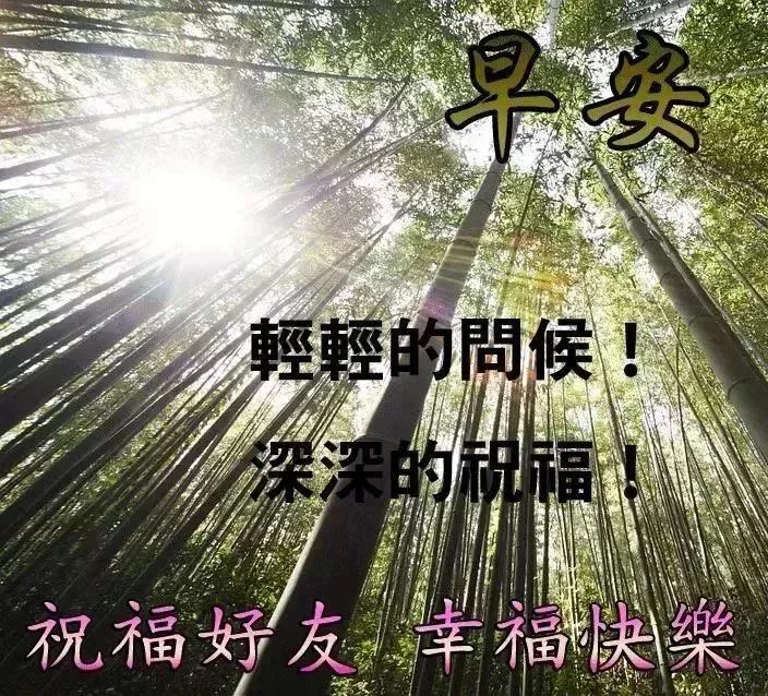 「2022.04.23」早安心语，世界读书日努力奋斗句子 早上好问候图片