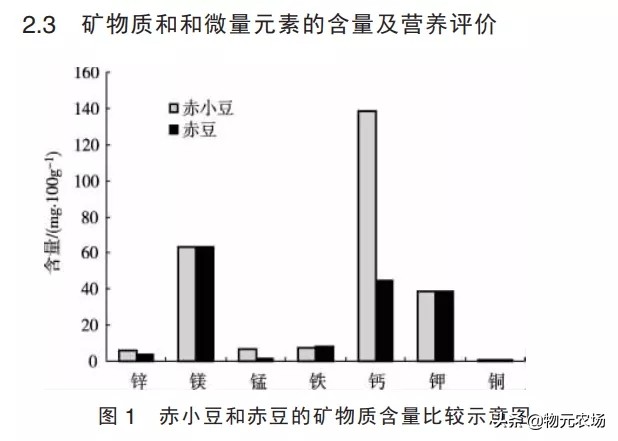 红豆家族人口多 各有各的不同 你知道如何区分吗？