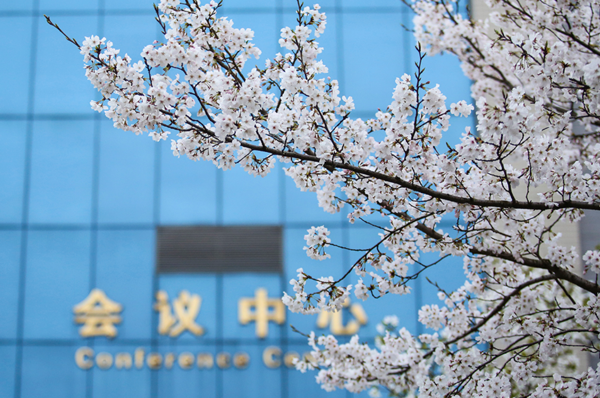 换帅！武汉理工大学空降一把手，这位新校长以前还是华中师大校长