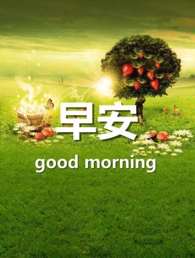 第28期 | 你好早安 正能量 开心一笑 | 新的一天,有个好心情,元气满满