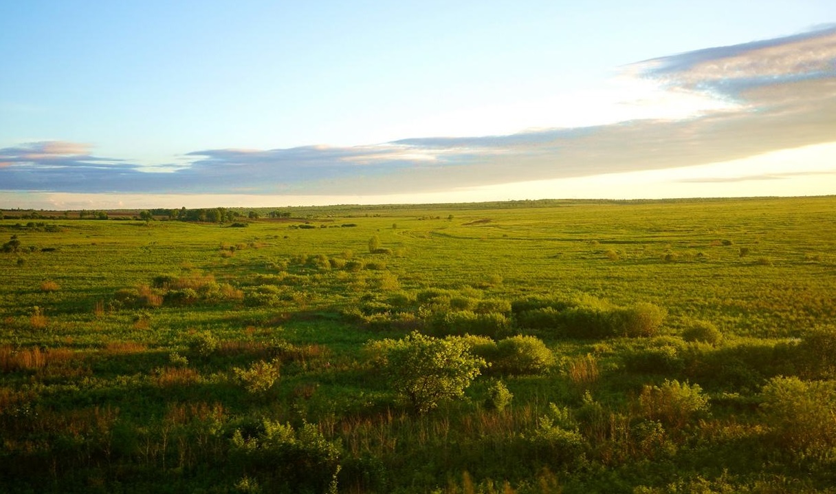 西西伯利亚平原从地图上来看,西西伯利亚盆地是一个东南西三面较高