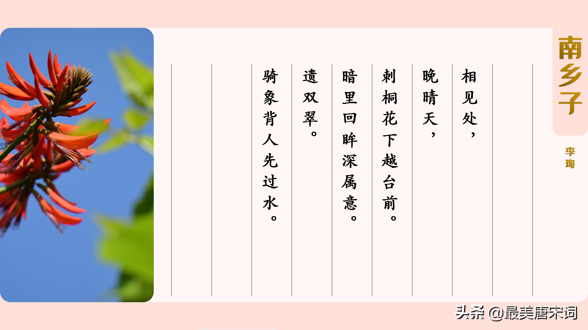 詩詞裡的春有百花 | 10首詞感受10種花(唐五代部分,附深度解讀)