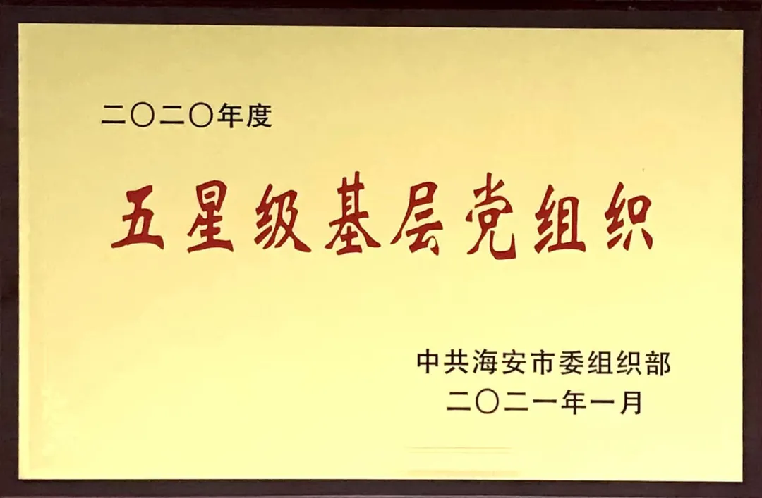 2021 红心永向党，踏步新征程