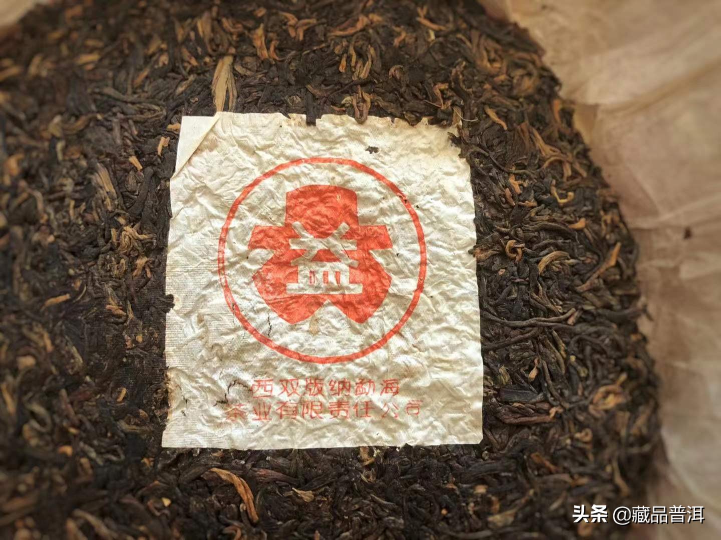 96紫大益青饼如何辨真伪？行家专业解读这5大辨认细节，建议收藏