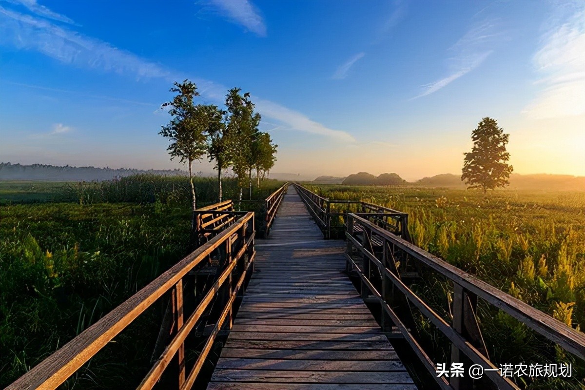 乡村振兴需要哪些“引擎”？