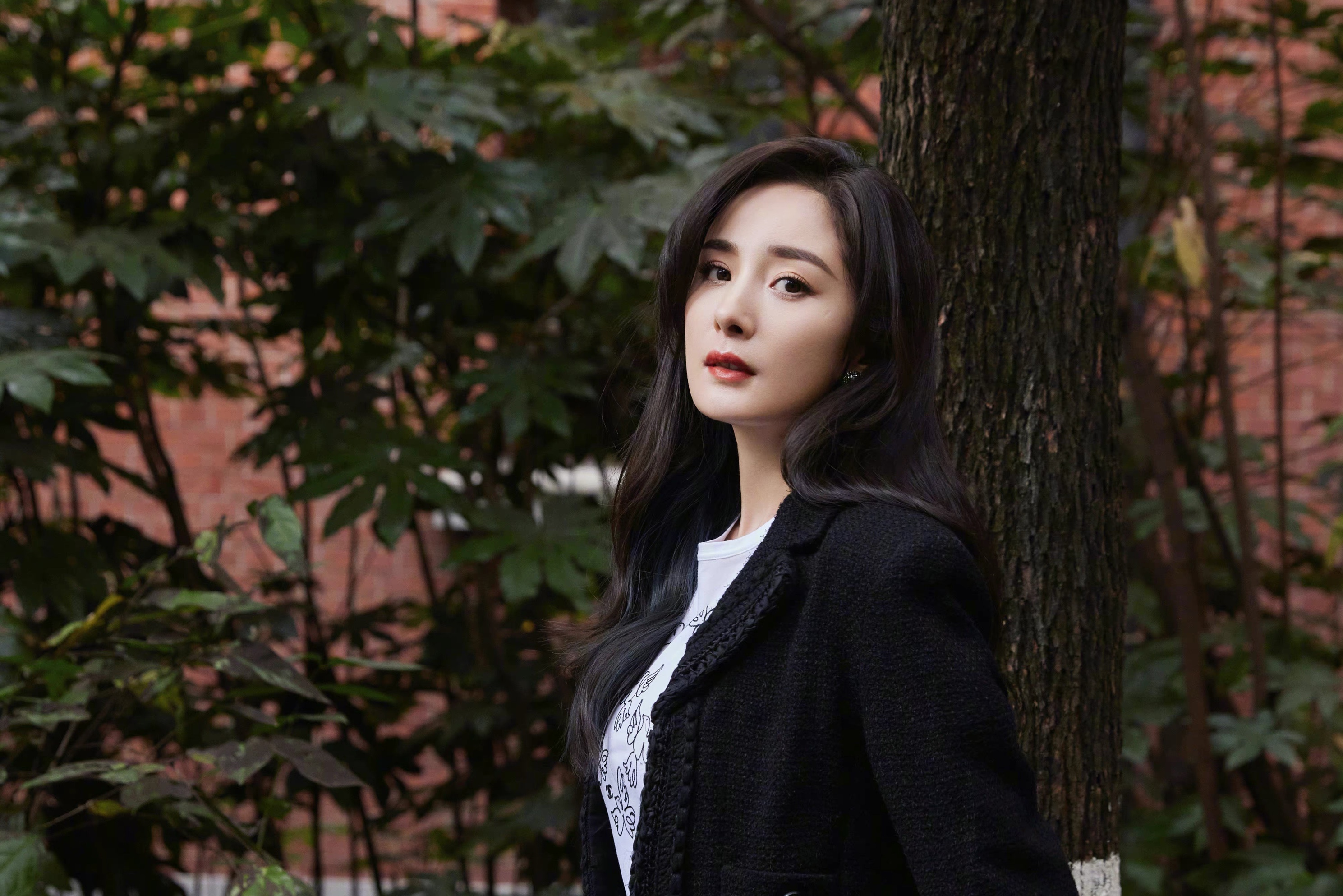 关于杨幂的说说配图「精辟」_qq说说网