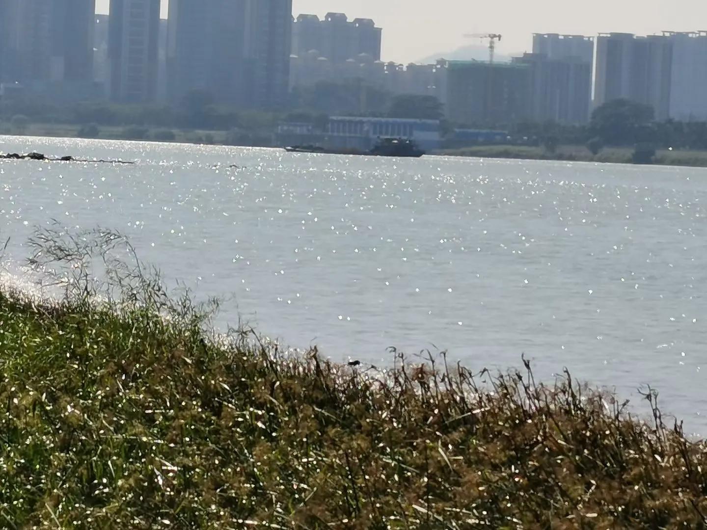 诗集三首（简白的现代诗词）