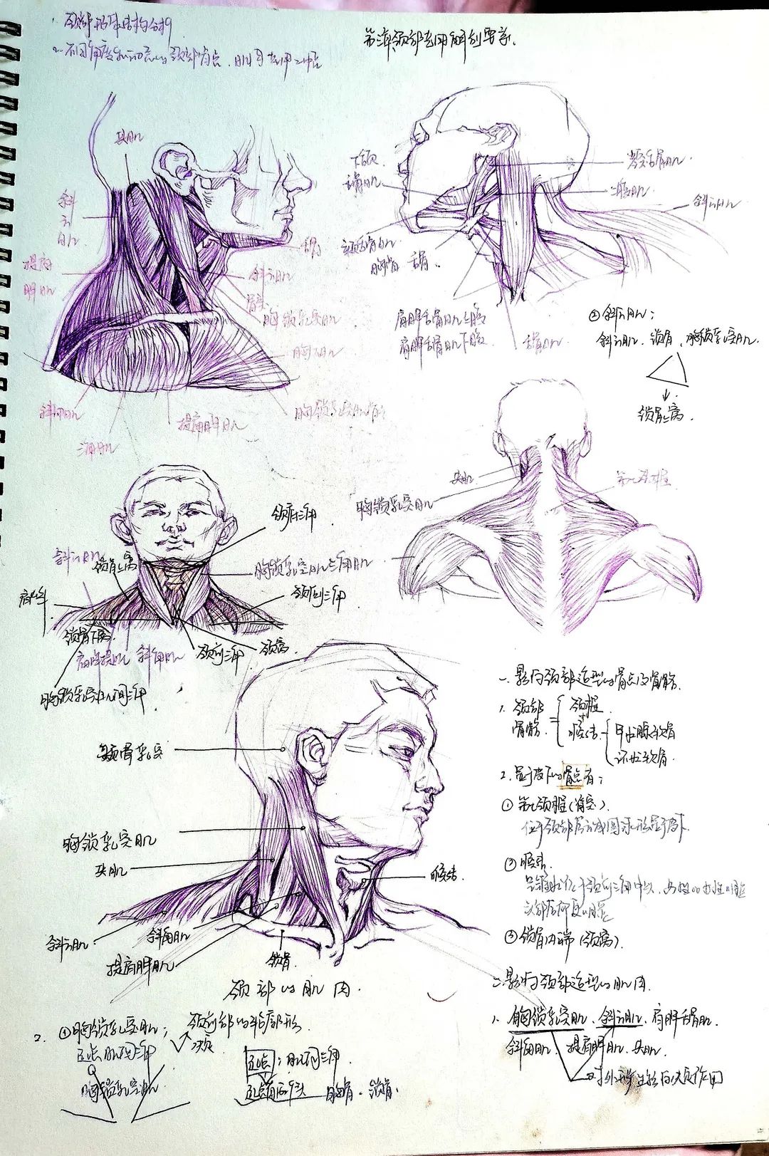 高校学霸笔记大赏！网友：果然是学霸的笔记我看不懂