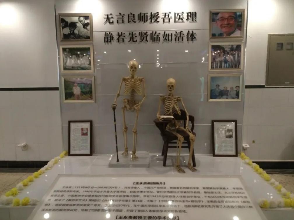 85%名校深造！四川大学“曝光”硬核学院，这3个本科专业今年招生！