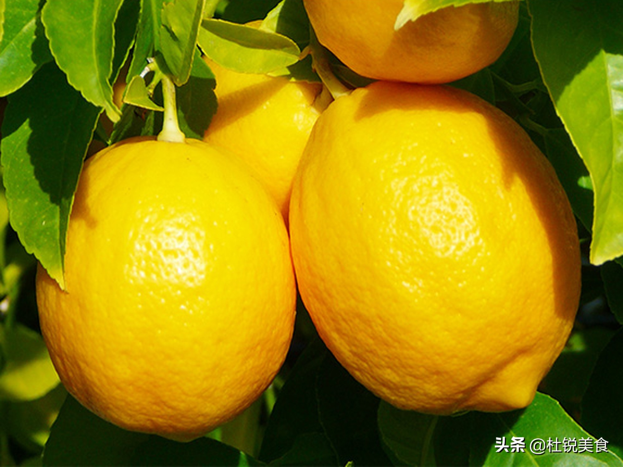 10种高维生素C的食材，嫩肤养颜，进入腊月，爱美女士要常吃