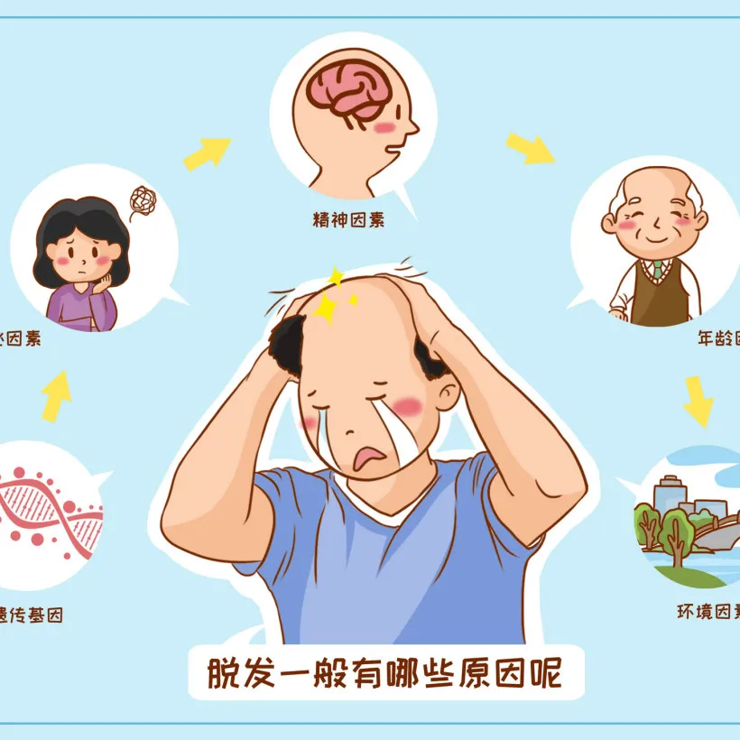 脱发竟是因为肾脏问题!中医教你一个食疗方,滋补肝肾,养血生发