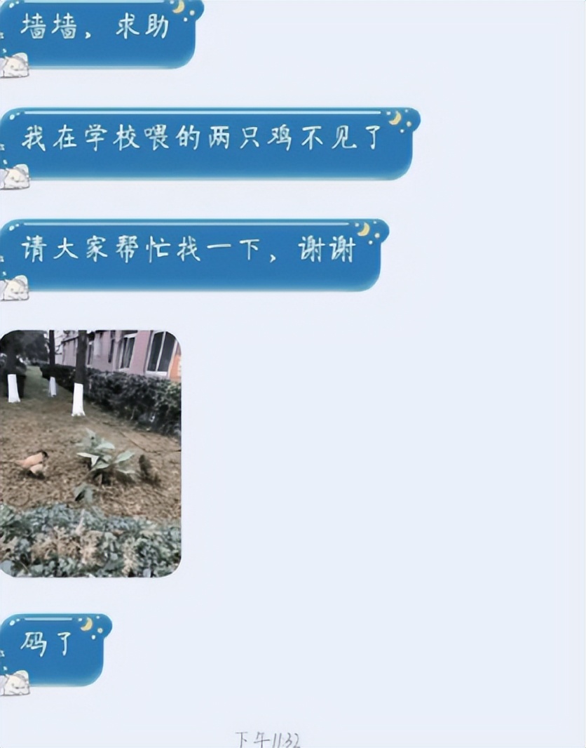 表白墙还能这么用？大学生的脑洞真是绝绝子，墙墙：你们在为难我