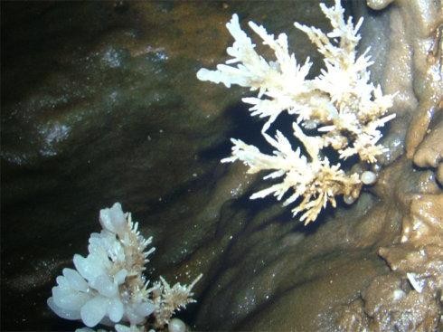 小伙山洞发现血色河流，吓得屁滚尿流，这血色到底是怎么回事？