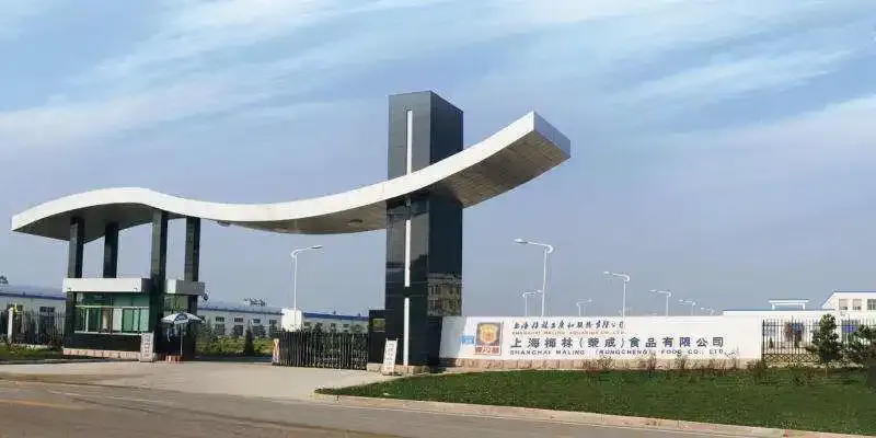 2009年，控制重庆生猪市场多年的“猪霸”王天伦，落入法网