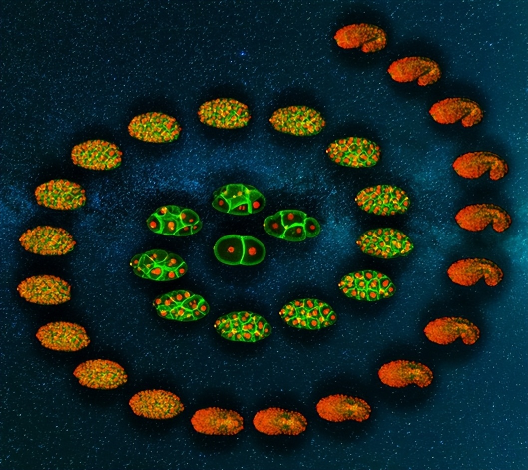 国内、国际最新科技动态 2022.7.26 星期二