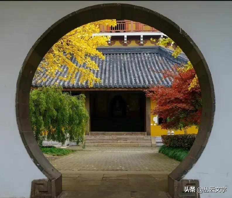 中国四大经典戏剧中流传千古的佳句：情不知所起，一往而深