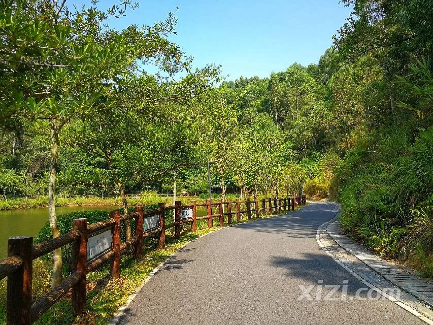 初夏好去处，惠州绿道最全合集来了！共28条！