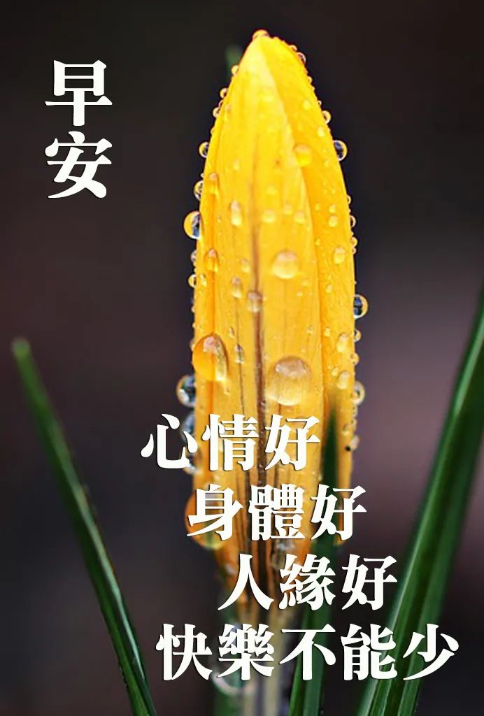 微信早安问候语 早安祝福语大全