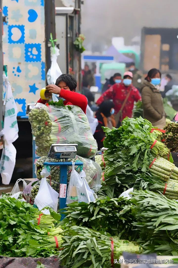 助力蔬菜自由，山东、河南、河北、江苏四省，种菜到底有多猛？