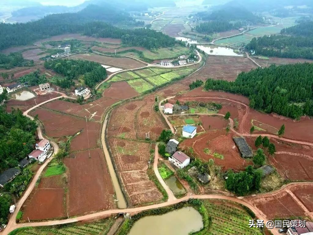 耕地“复耕”，乱象频出？不能忽视这三个方面