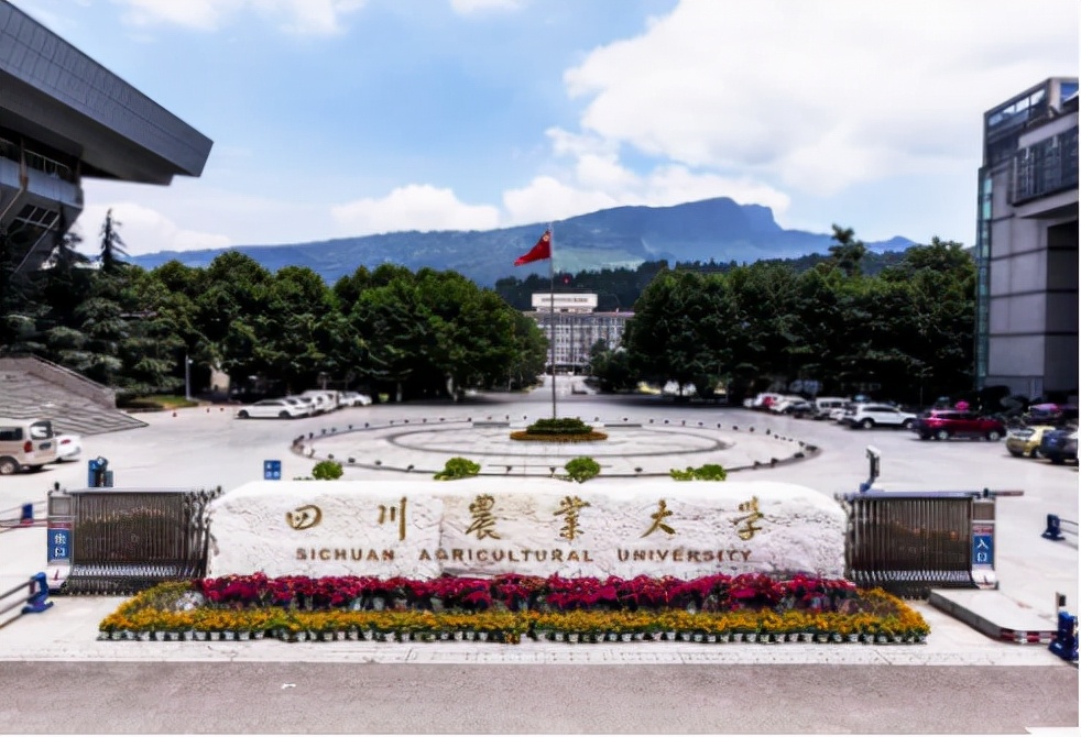 成都985大学（四川这所高校）