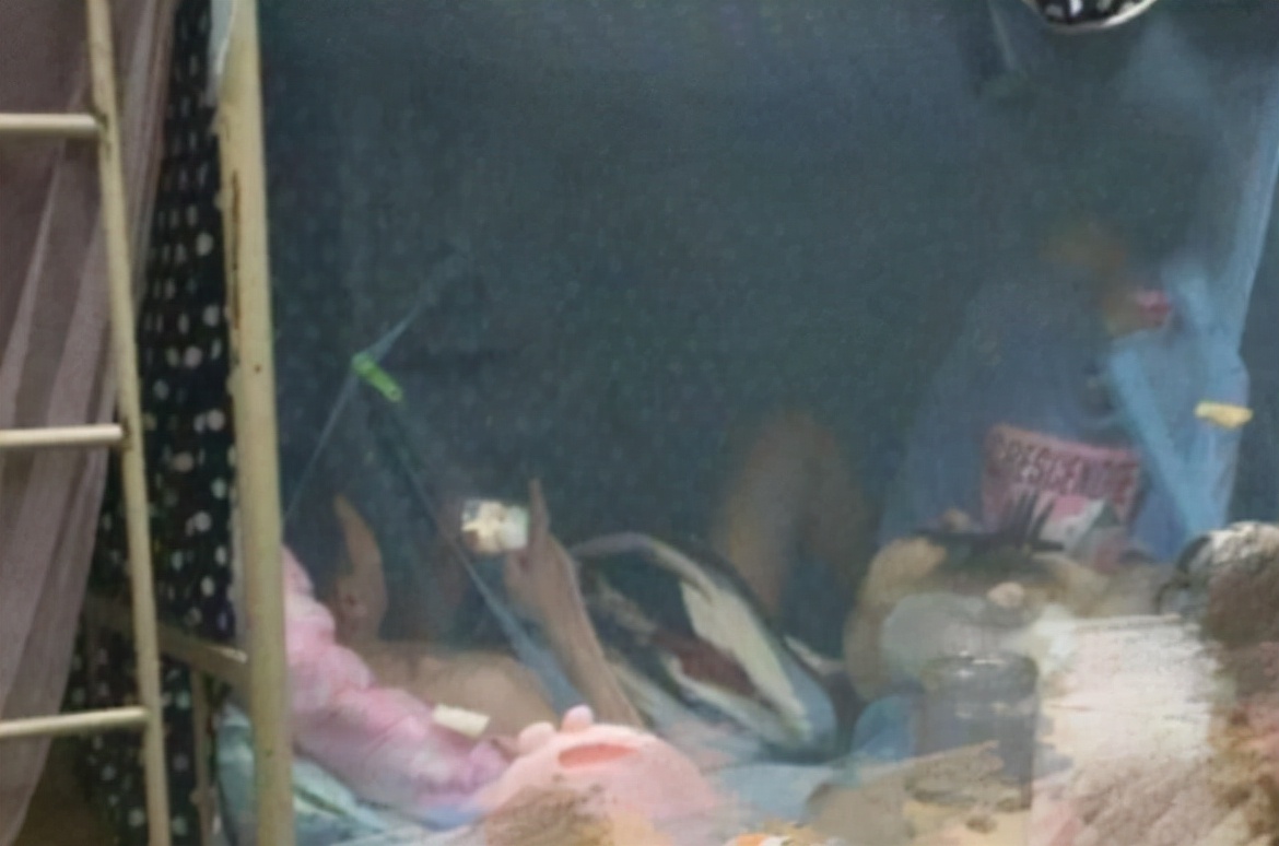 高校女生和男友在宿舍住半个月，被室友举报不道歉，还骂室友矫情