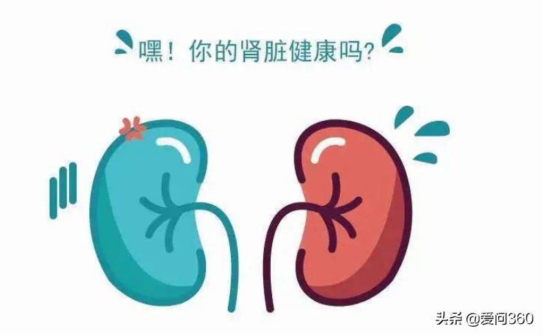 肾脏到底好不好，头发也能看出来，教你几个判断肾脏问题的方法