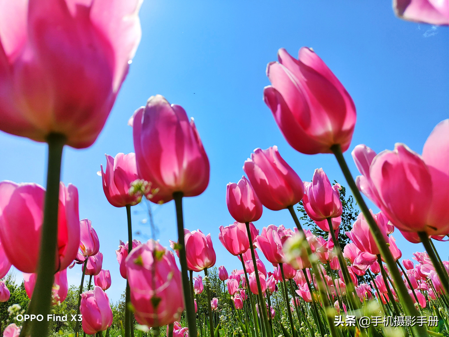 想用手机拍好照片，摄影师总结出12个要领，看看你掌握了几条？