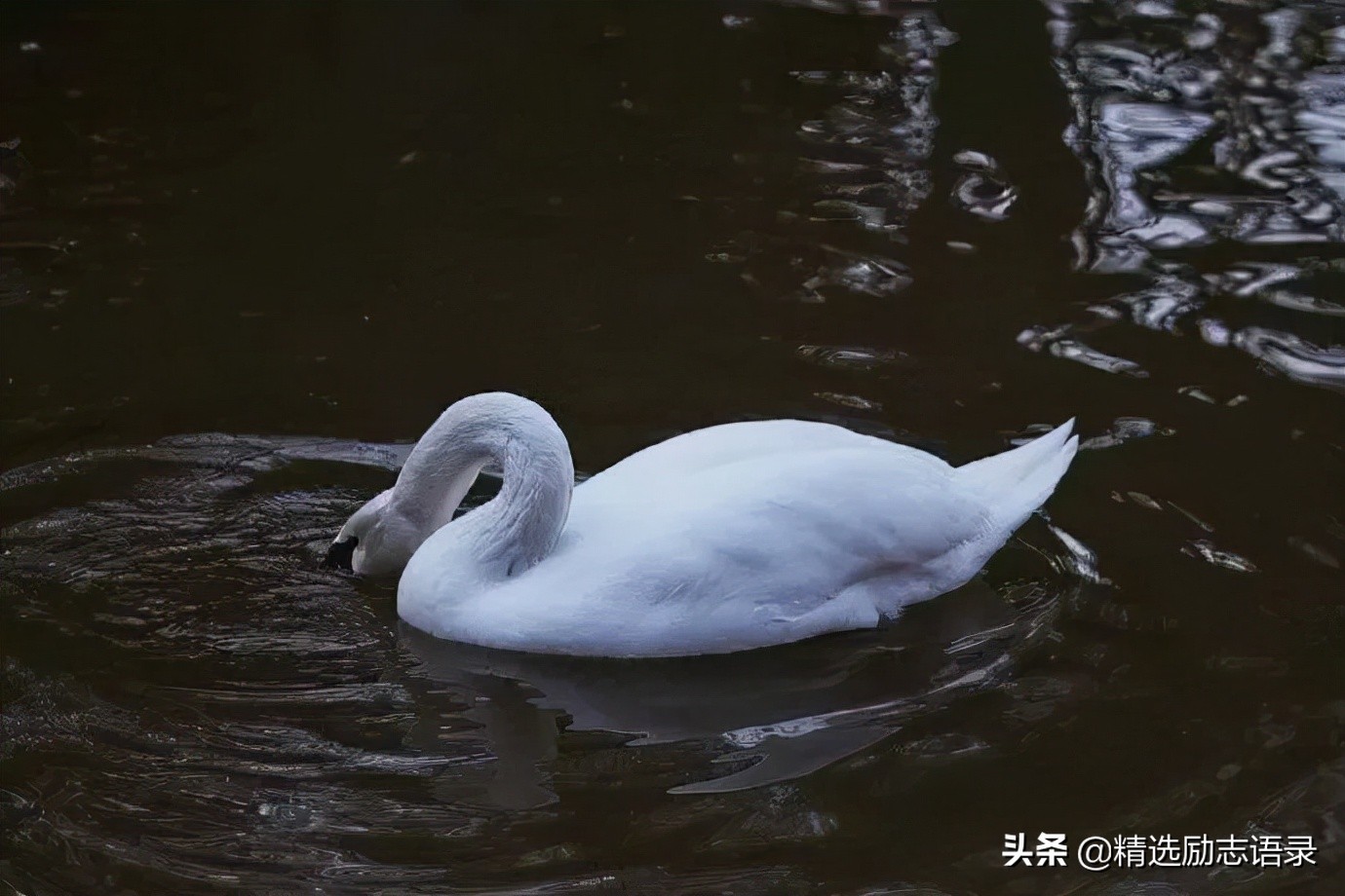 在乎你的人，从不会说这三句话