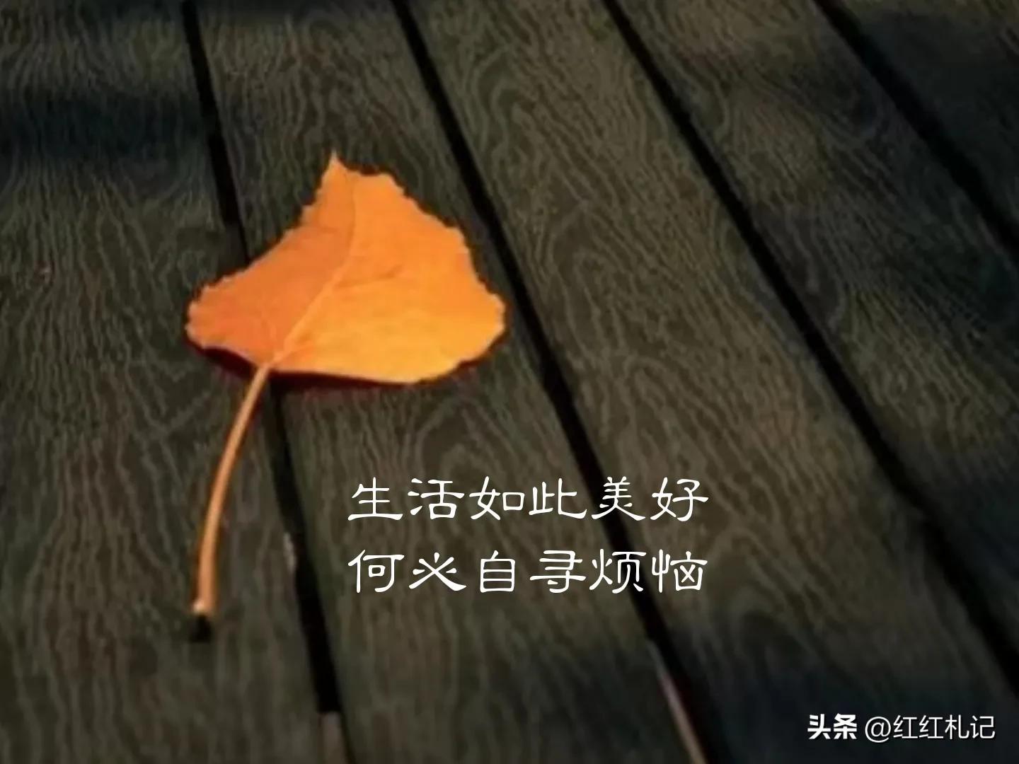 生活如此美好，何必自寻烦恼。