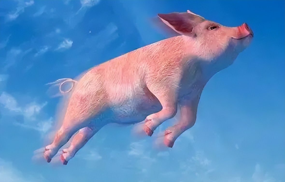 停播11天！李佳琦怎么了