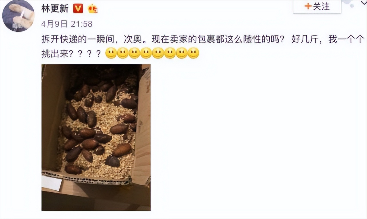 名牌菜刀拍蒜断成两截，盘点奇葩买家秀，林更新都爆粗口