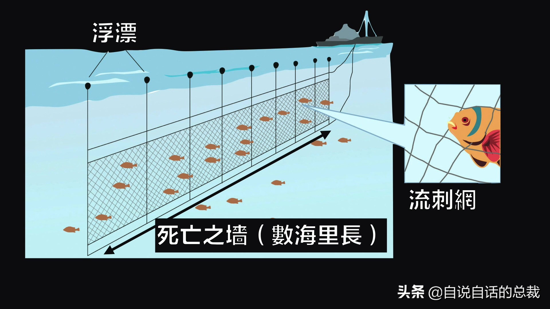 刺网捕鱼原理图图片