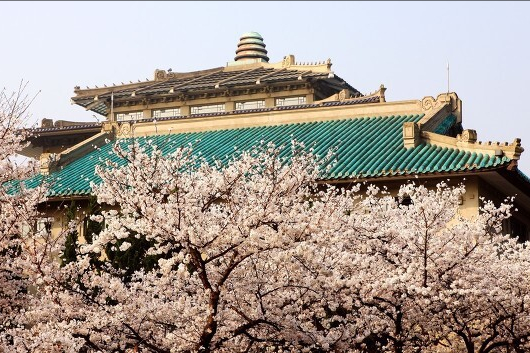 注意！武汉大学2022年艺术类招生计划哪些变化，受益的是谁？