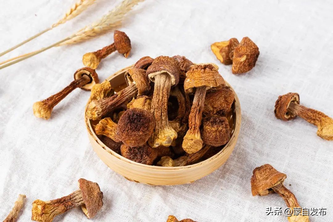 又到吃菌的季节啦！吃前速看→